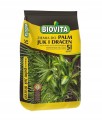 Ziemia podłoże do palm juki i dracen 5L
