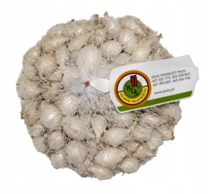 Cebula dymka White Globe biała łagodna 5-21 mm 250 g