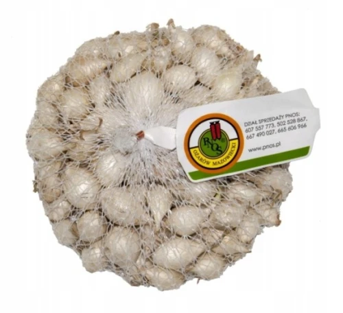 Cebula dymka White Globe biała łagodna 5–21 mm 250 g