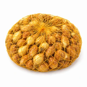 Cebula dymka Wolska wczesna do ogrodu 16-21 mm 0,5 kg