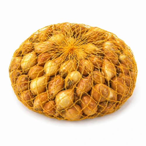 Cebula dymka Wolska wczesna do ogrodu 16–21 mm 0,5 kg