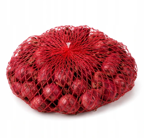 Cebula dymka czerwona Scarlet do ogrodu i na działkę 0,5 kg