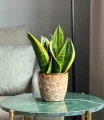 Doniczka ceramiczna osłonka okrągła tłoczenia vintage brązowo-żółta 14cm