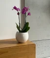 Doniczka ceramiczna osłonka okrągła kula biała 16cm