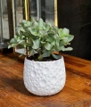 Doniczka ceramiczna osłonka okrągła tłoczenia biała 15cm