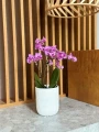 Doniczka ceramiczna osłonka okrągła klasyczna ryflowana biały mat 13cm