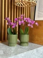 Doniczka ceramiczna osłonka okrągła ryflowana zielona 13cm