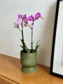 Doniczka ceramiczna osłonka okrągła kielich ryflowana zielona 13cm