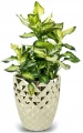 Doniczka ceramiczna osłonka elegancka tłoczenia glamour złota 13,5cm