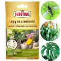 Substral lepy na ziemiórki pułapki na szkodniki roślin doniczkowych 15 szt.