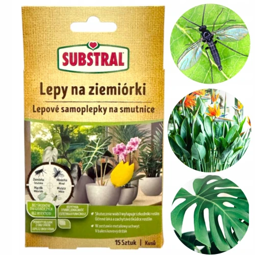 Substral lepy na ziemiórki pułapki na szkodniki roślin doniczkowych 15 szt.