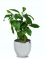 Doniczka ceramiczna osłonka okrągła gładka srebrna 15cm