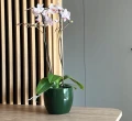Doniczka ceramiczna osłonka okrągła gładka zielona 26 cm