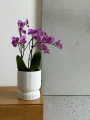 Doniczka ceramiczna osłonka okrągła ryflowana na stopce biała 13cm