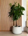 Doniczka ceramiczna misa dekoracyjna struktura betonu beżowa 47 cm
