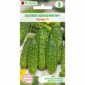Ogórek nasiona gruntowy Śremski 3g