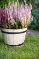 Donica doniczka okrągła imitacja drewna duża MADERA 40cm